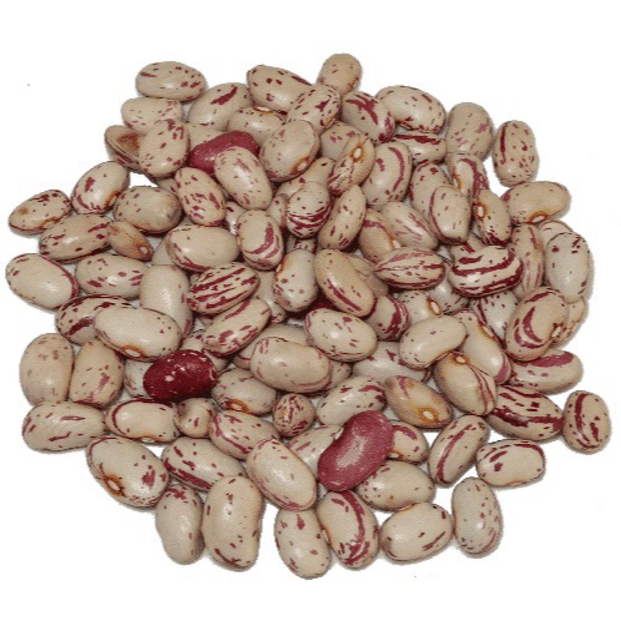Alubia Pinta De León EL MARAGATO 1kg - Imagen 2
