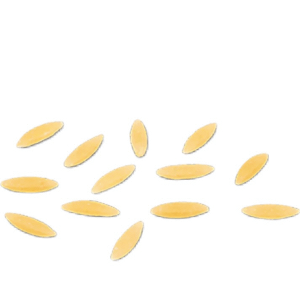 Puntalette No.73 DE CECCO 500g - Imagen 2